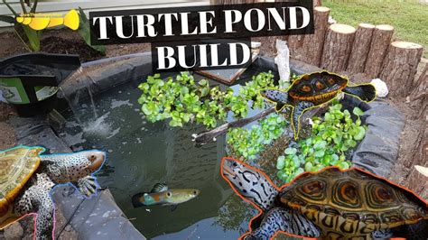 35 Best Diy Outdoor Turtle Pond - Home, Family, Style and Art Ideas