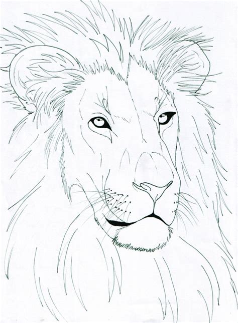 Lion Face Drawing at GetDrawings | Free download