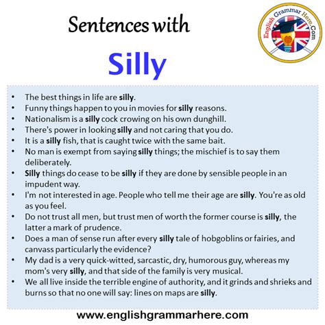 Sentences with Silly, Silly in a Sentence in English, Sentences For ...