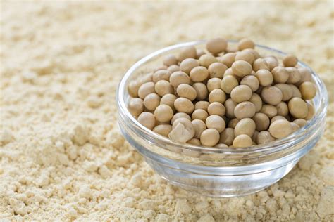 High Quality Soybean Isolate/concentrate Protein - Z Methoda Resources - ecplaza.net