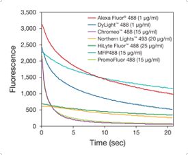 Alexa Fluor Dyes—Excellent Photostability | Thermo Fisher Scientific - SE