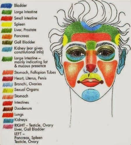 An interesting diagram that shows what can cause acne on different ...