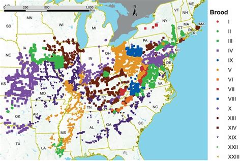 periodical cicada brood map - Entomology Today