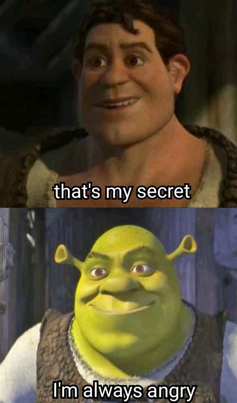 SHREK SMASH : r/memes