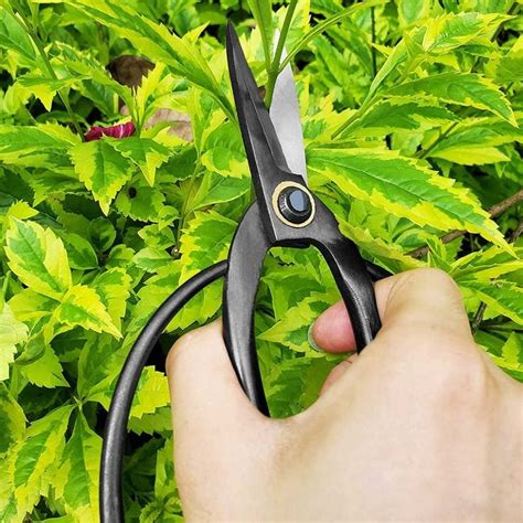 5 Best Garden Scissors of 2024 | Family Handyman