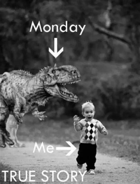 67+ Monday Memes: Be Ready To Fall About Laughing - BayArt