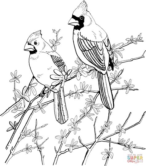 Coloriage - Deux cardinals rouges | Coloriages à imprimer gratuits