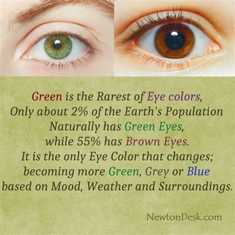 What Is The Rarest Eye Color For Blondes | Makeupview.co