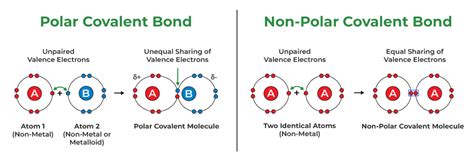 What Is Nonpolar Covalent Bond