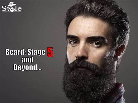 5 Stages of Beard Growth Cycle - With Week by Week Image