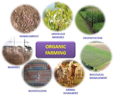 Organic farming in India: - INSIGHTS IAS - Simplifying UPSC IAS Exam ...