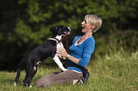 Border CollieTraining Archives - BorderCollieHealth