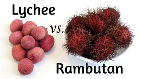 Rambutan vs Lychee: What’s the Difference? - Bodybuilding Universe