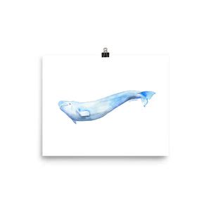 Beluga Whale Watercolor Print – Susan Windsor