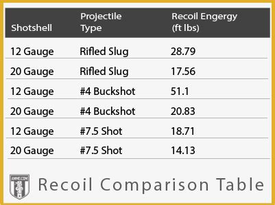 12 Gauge vs 20 Gauge: The Shotgun Shootout - HuntingNet.com Forums