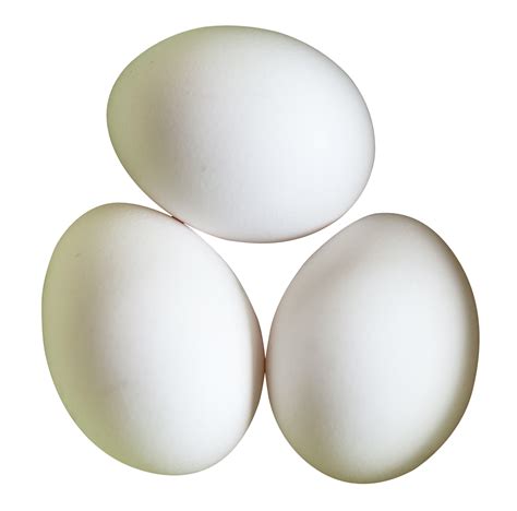 Egg white - Eggs png download - 1600*1583 - Free Transparent Egg White ...