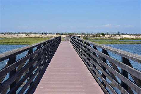 Bolsa Chica Wetlands Viewing Pier Photograph by Linda Brody