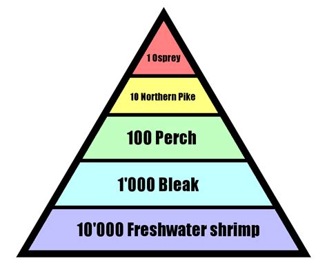 File:Pyramid of numbers.png - Wikipedia