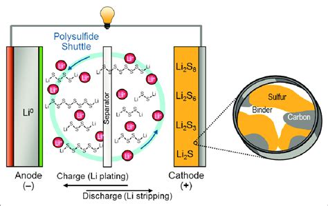 Operation principle of a lithium-sulfur battery. | Download Scientific Diagram