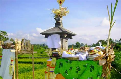 Tri Hita Karana : Three Balinese Wisdom Concept - Eco Tours Bali