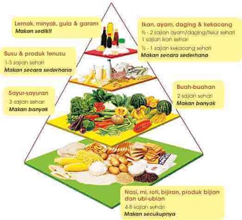 Piramid Makanan Malaysia Makanan Berkhasiat Dan Seimbang – Modafinil24