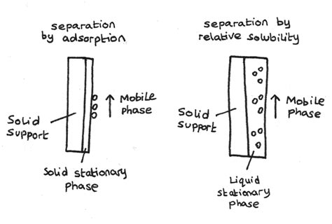 Explain the Differences Between Stationary and Mobile Phases