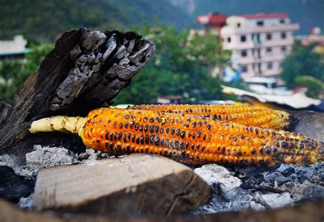 Half Day Rishikesh To Neelkanth Temple Tour - Today’s offer Rs.NaN ( NaN % off)