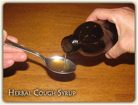 Herbal Cough Remedies. Learn natural herbs for cough remedy and more.