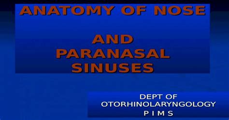 Anatomy of nose and paranasal sinuses - [PPT Powerpoint]