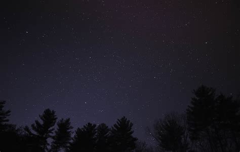 High angle photography of trees during night time photo – Free Stow ...