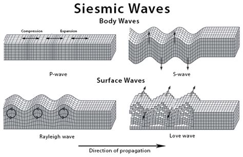 Seismic Waves: Definition, Types, Examples, and Diagram