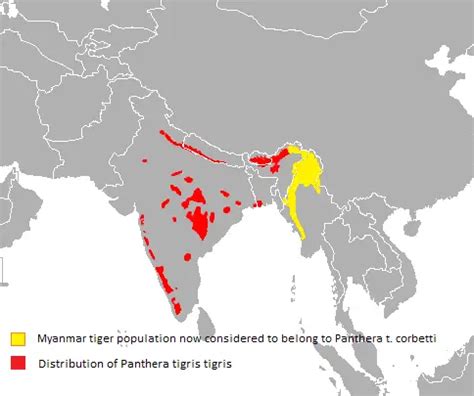 Where Do Bengal Tigers Live - Bengal Tiger Habitat - Zooologist