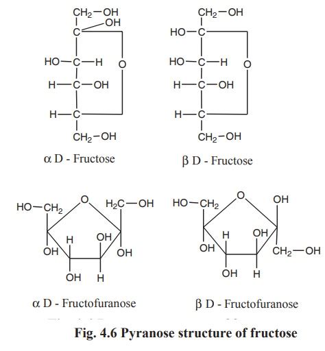 Haworth projection formula of glucose and fructose