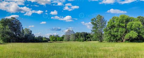 Idyllic mountain landscape with fresh green meadows and blooming wildflowers. Idyllic nature ...