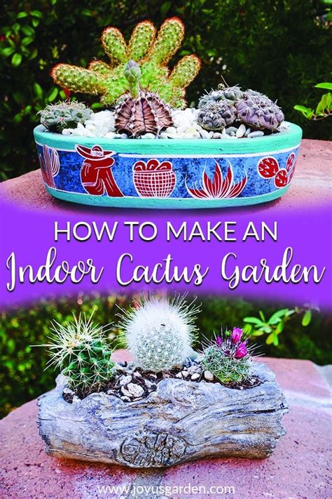 How To Build An Outdoor Cactus Garden / You can use pots to grow them, grow them on the ground ...