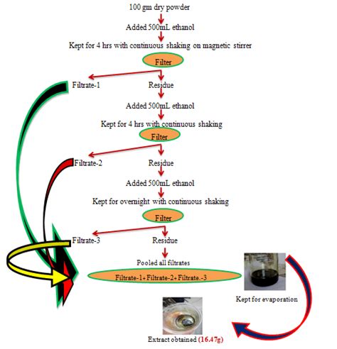 Extraction by maceration technique | Download Scientific Diagram