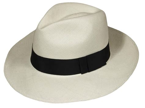 Rollable Panama hat in classic fedora style | Mens fashion summer, Mens dress hats, Style secrets