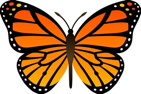 Orange Monarch Butterfly Vector - Free Clip Art