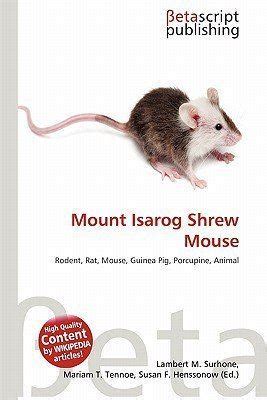 Mount Isarog shrew mouse - Alchetron, the free social encyclopedia