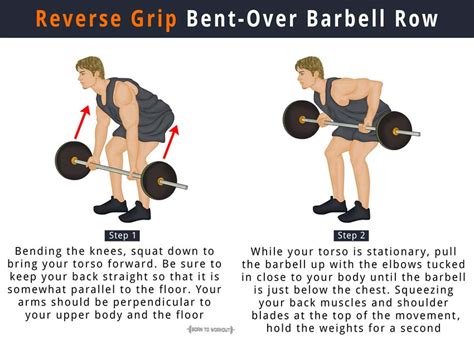 Reverse Grip Barbell Row: How to do, Benefits, Muscles Worked | Born to ...