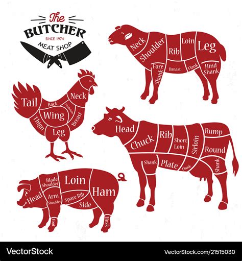 Meat cuts diagrams for butcher shop animal Vector Image