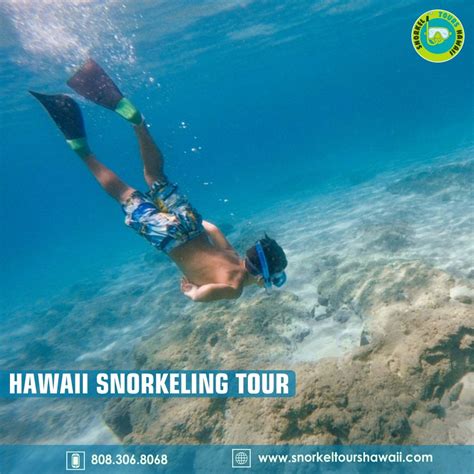 Pin on Hawaii Snorkeling Tour Packages