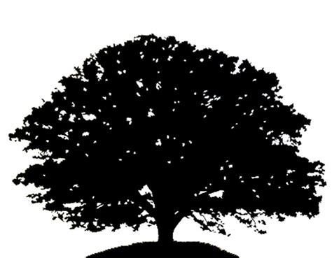 Download Oak Tree svg for free - Designlooter 2020 👨‍🎨