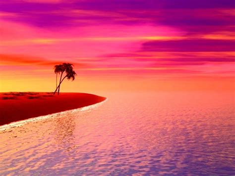 Purple and Pink Sunset Wallpaper - WallpaperSafari