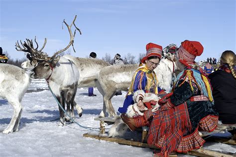 Sami Reindeer People Culture