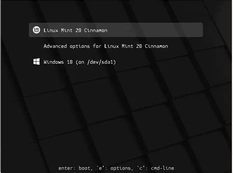 How to Dual Boot Linux Mint 20 with Windows 10