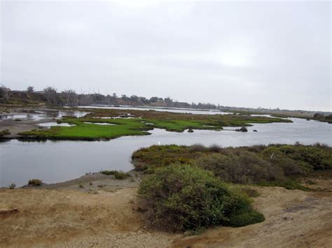 the hawkins family: Bolsa Chica Wetlands