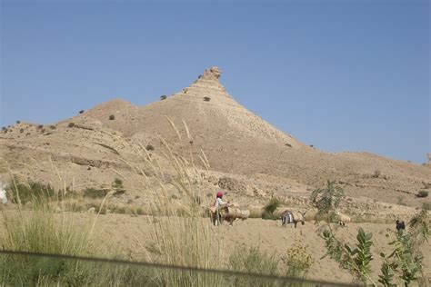 camel4all: Role of indigenous livestock breeds in the livelihood earning of the Chaghai Kharan ...