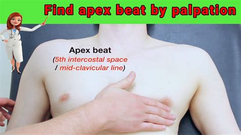 apex beat palpation l 2021 - YouTube