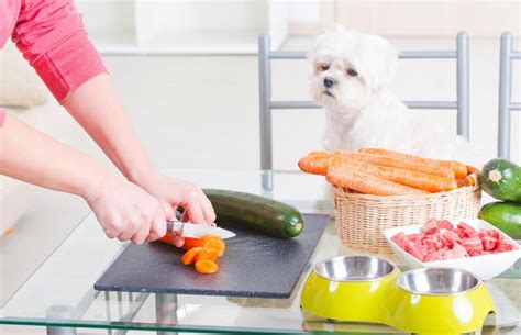 Tips for Making Home-Cooked Dog Food | LoveToKnow